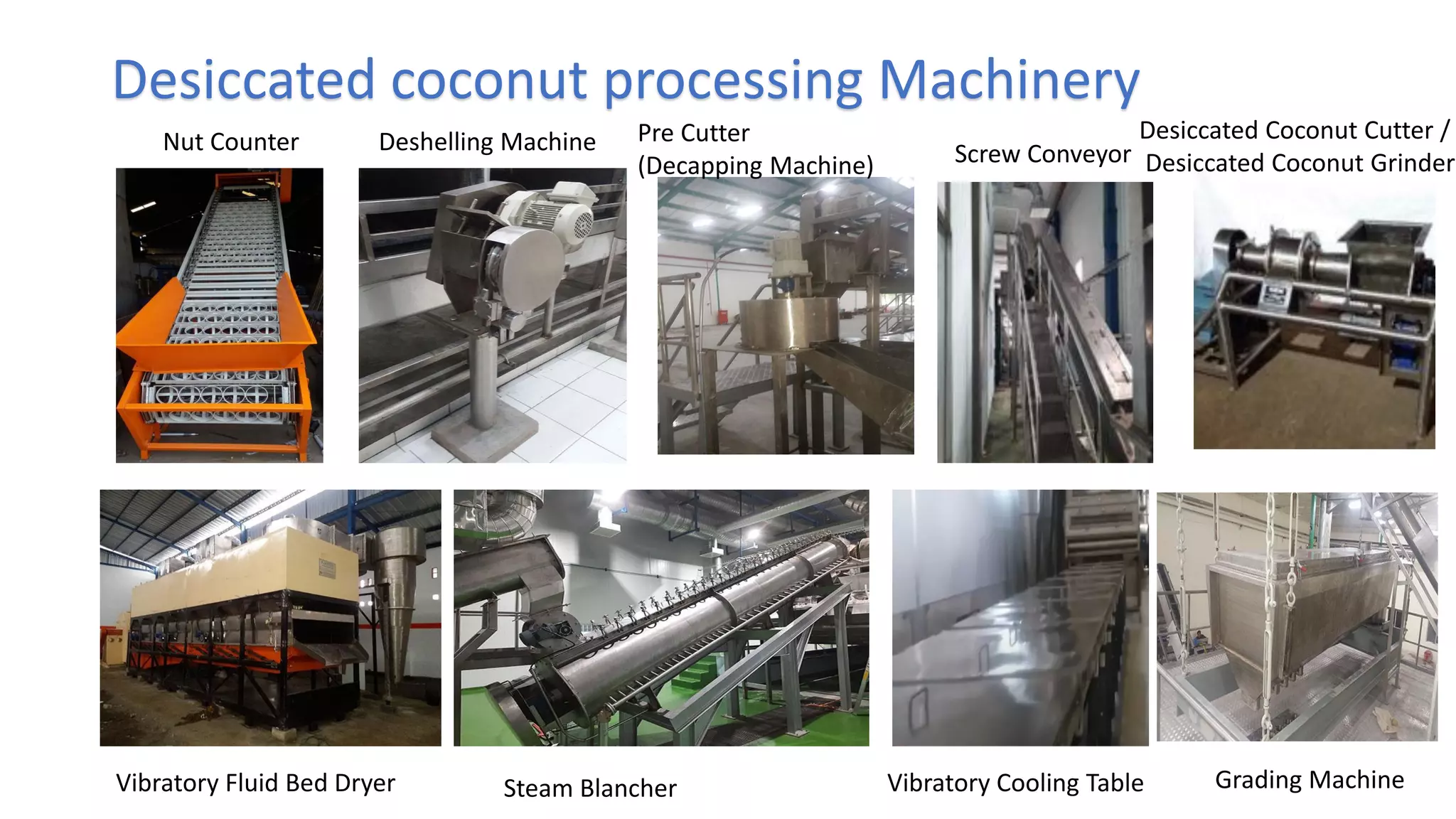 Desccicated coconut : Project Feasibility | PDF