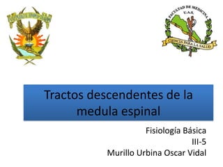 Tractos descendentes de la
medula espinal
Fisiología Básica
III-5
Murillo Urbina Oscar Vidal

 