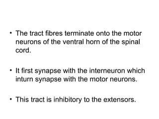 Descending motor pathways | PPT