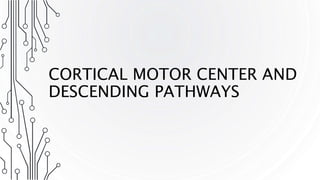 CORTICAL MOTOR CENTER AND
DESCENDING PATHWAYS
 