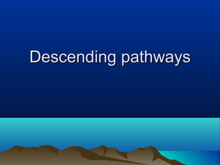Descending pathways
 