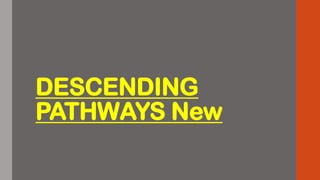 Comprehensive Overview of Descending Motor Pathways and Clinical ...