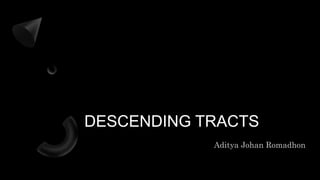 DESCENDING TRACTS
 