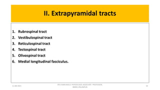 Descending tracts- Central Nervous System