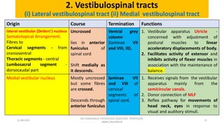 Descending tracts- Central Nervous System