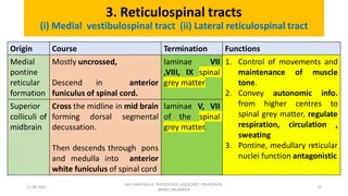 Descending tracts- Central Nervous System