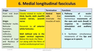Descending tracts- Central Nervous System