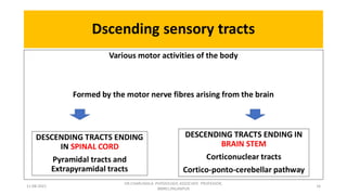 Descending tracts- Central Nervous System