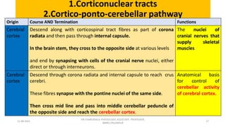Descending tracts- Central Nervous System