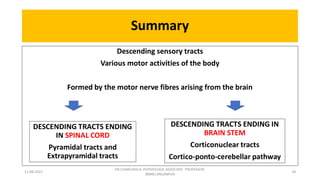 Descending tracts- Central Nervous System