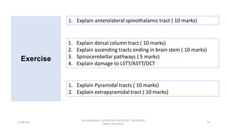 Descending tracts- Central Nervous System