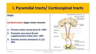 Descending tracts- Central Nervous System