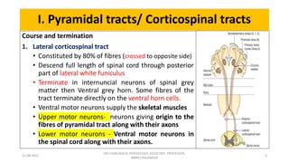 Descending tracts- Central Nervous System