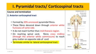 Descending tracts- Central Nervous System
