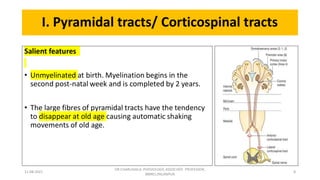 Descending tracts- Central Nervous System