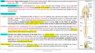 Descending tracts- Central Nervous System
