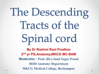 The Descending
Tracts of the
Spinal cord
By Dr Rashmi Rani Pradhan
2nd yr PG,Anatomy,MKCG MC-BAM
Moderator : Prof. (Dr.) Jami Sagar Prusti
HOD Anatomy Department
MKCG Medical College, Berhampur.
 