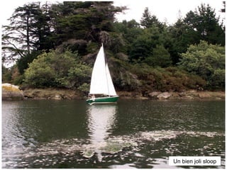 Un bien joli sloop