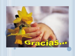 Gracias... 