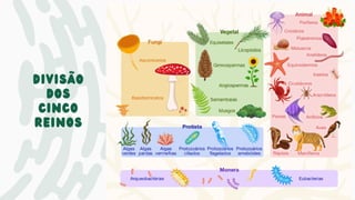 divisão
dos
cinco
reinos
 