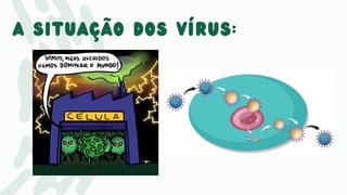 a situação dos vírus:
 