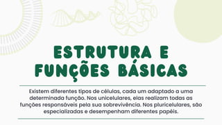 Existem diferentes tipos de células, cada um adaptado a uma
determinada função. Nos unicelulares, elas realizam todas as
funções responsáveis pela sua sobrevivência. Nos pluricelulares, são
especializadas e desempenham diferentes papéis.
Estrutura e
funções básicas
 