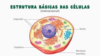 ESTRUTURA BÁSICAS DAS CÉLULAS
(tridimensional)
 