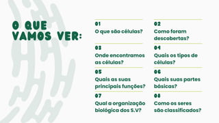 o QUE
VAMOS VER:
03
Onde encontramos
as células?
04
Quais os tipos de
células?
05
Quais as suas
principais funções?
06
Quais suas partes
básicas?
07
Qual a organização
biológica dos S.V?
08
Como os seres
são classificados?
01
O que são células?
02
Como foram
descobertas?
 