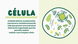 CÉLULA
Unidade básica, fundamental,
estrutural e morfofuncional da
vida que possui uma estrutura
altamente organizada que lhe
permite realizar
realizar suas funções vitais.
 