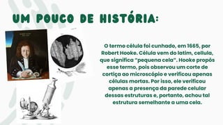 Um pouco de história:
O termo célula foi cunhado, em 1665, por
Robert Hooke. Célula vem do latim, cellula,
que significa “pequena cela”. Hooke propôs
esse termo, pois observou um corte de
cortiça ao microscópio e verificou apenas
células mortas. Por isso, ele verificou
apenas a presença da parede celular
dessas estruturas e, portanto, achou tal
estrutura semelhante a uma cela.
 