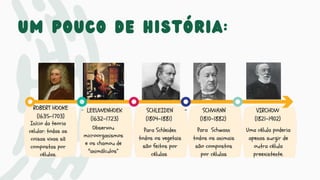 Um pouco de história:
 