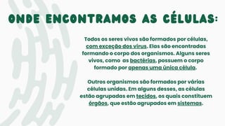 onde encontramos as células:
Todos os seres vivos são formados por células,
com exceção dos vírus. Elas são encontradas
formando o corpo dos organismos. Alguns seres
vivos, como as bactérias, possuem o corpo
formado por apenas uma única célula.
Outros organismos são formados por várias
células unidas. Em alguns desses, as células
estão agrupadas em tecidos, os quais constituem
órgãos, que estão agrupados em sistemas.
 