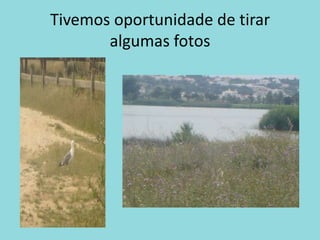 Tivemos oportunidade de tirar algumas fotos