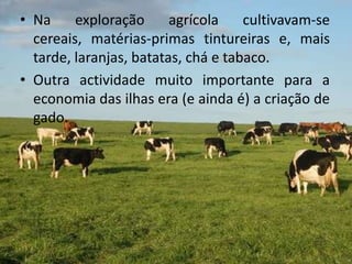 Descoberta Das Ilhas Atanticas