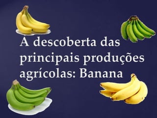 À descoberta das
principais produções
agrícolas: Banana
 