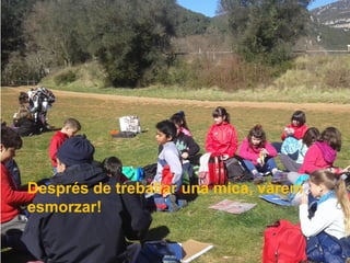 Després de treballar una mica, vàrem
esmorzar!
 