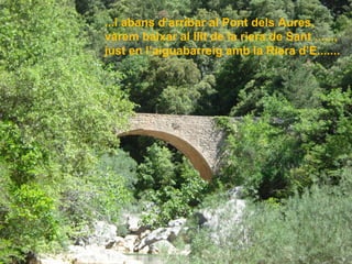 ...i abans d’arribar al Pont dels Aures,
vàrem baixar al llit de la riera de Sant ......,
just en l’aiguabarreig amb la Riera d’E.......
 