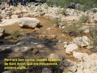 Però era ben curiós: mentre la Riera
de Sant Aniol, que era més estreta,
portava aigua...
 