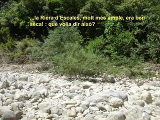 ...la Riera d’Escales, molt més ample, era ben
seca! : què volia dir això?
 
