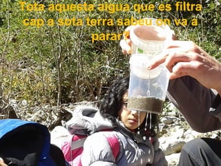Tota aquesta aigua que es filtra
cap a sota terra sabeu on va a
parar?
 