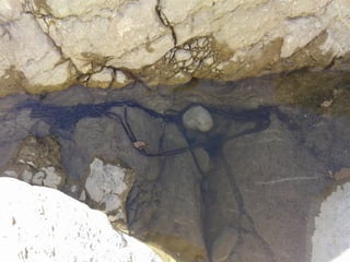 Descoberta de l’alta garrotxa