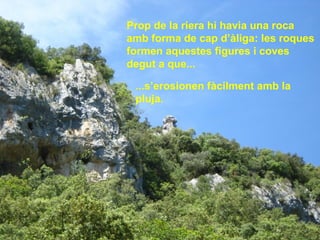 Prop de la riera hi havia una roca
amb forma de cap d’àliga: les roques
formen aquestes figures i coves
degut a que...
...s’erosionen fàcilment amb la
pluja.
 