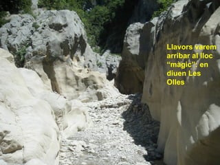 Llavors varem
arribar al lloc
“màgic”: en
diuen Les
Olles
 