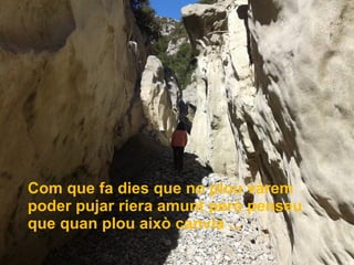 Com que fa dies que no plou vàrem
poder pujar riera amunt però penseu
que quan plou això canvia ...
 