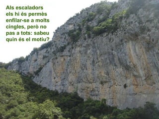 Als escaladors
els hi és permès
enfilar-se a molts
cingles, però no
pas a tots: sabeu
quin és el motiu?
 