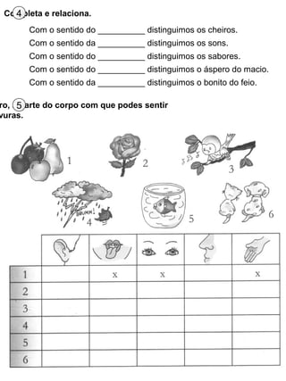 Completa e relaciona.4
Com o sentido do __________ distinguimos os cheiros.
Com o sentido da __________ distinguimos os sons.
Com o sentido do __________ distinguimos os sabores.
Com o sentido do __________ distinguimos o áspero do macio.
Com o sentido da __________ distinguimos o bonito do feio.
ro, a parte do corpo com que podes sentir
vuras.
5
 