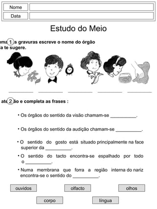 Nome
Data
Estudo do Meio
uma das gravuras escreve o nome do órgão
la te sugere.
1
m atenção e completa as frases :2
• Os órgãos do sentido da visão chamam-se __________.
• Os órgãos do sentido da audição chamam-se __________.
• O sentido do gosto está situado principalmente na face
superior da __________.
• O sentido do tacto encontra-se espalhado por todo
o __________.
• Numa membrana que forra a região interna do nariz
encontra-se o sentido do __________.
ouvidos
corpo
olfacto
língua
olhos
 