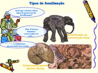 Será que existem vários
tipos de processos de
fossilização?
Tipos de fossilizaçãoTipos de fossilização
Sim. Existem
mamutes
conservados no
gelo…
… e esqueletos
preservados nas rochas
Mumificação ou
conservação total
Conservação parcial
(partes duras)
 