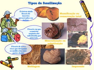 Existem ainda
fósseis de
insectos
preservados em
âmbar.
Tipos de fossilizaçãoTipos de fossilização
Fósseis em que
a matéria
orgânica foi
substituída por
minerais
Fósseis de seres
vivos que deixaram
os moldes das suas
partes duras
Mumificação ou
conservação total
Mineralização ou
substituição
Moldagem Impressão
 