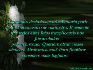 O tamanho desta imagem?. A quarta parte de um milionésimo de milímetro. É evidente que todos estes fatos inexplicaveis nos foram dados   por uma razão: Queriam atrair nossa atencão. Atrairam a sua? Para finalizar considere mais três fatos:    [email_address] 